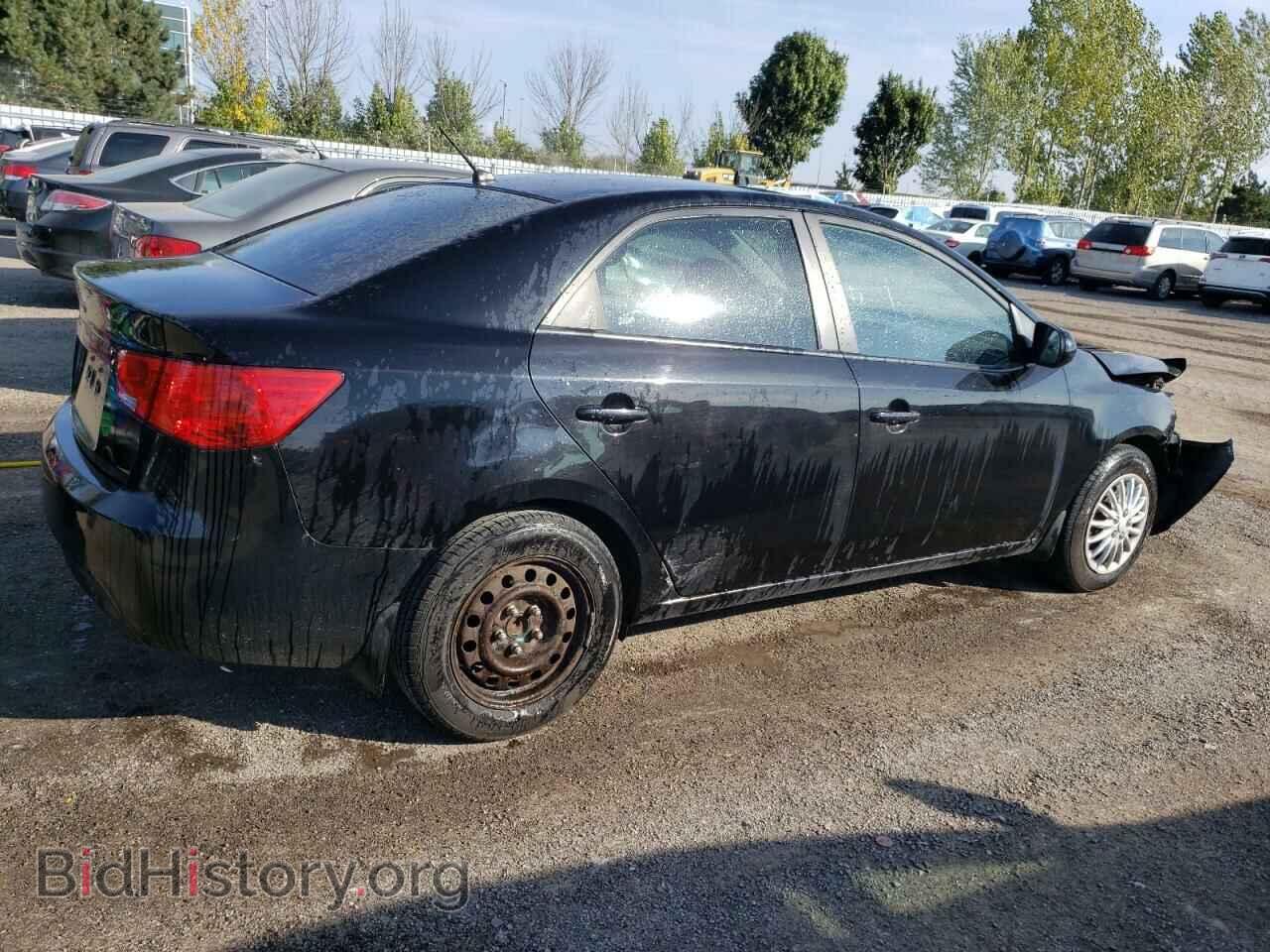 2013 KIA FORTE - VIN: KNAFT4A25D5692268 - Фото 3