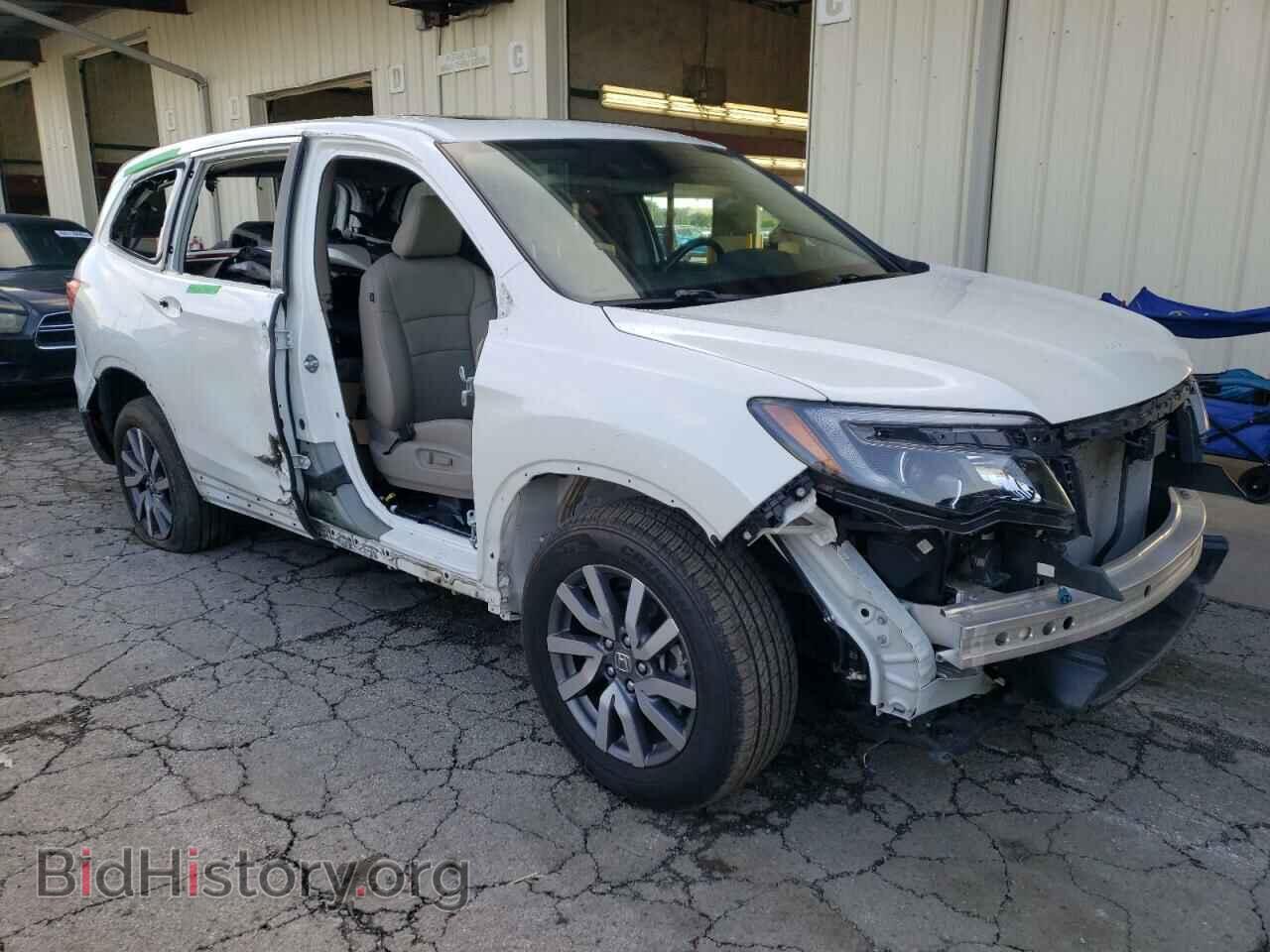 2019 HONDA PILOT - VIN: 5FNYF6H55KB079187 - Фото 4