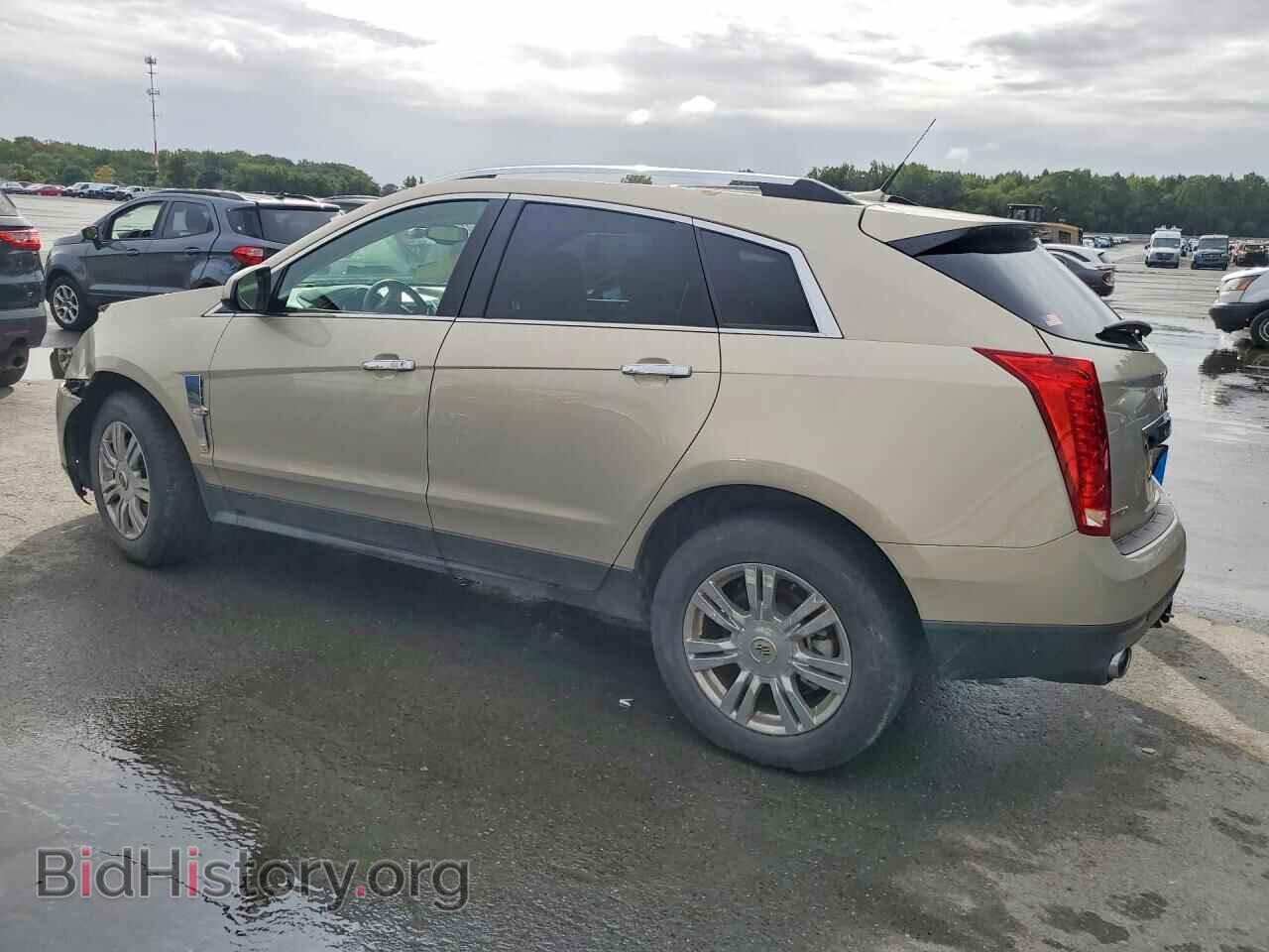 2012 CADILLAC SRX - VIN: 3GYFNAE33CS512394 - Фото 2