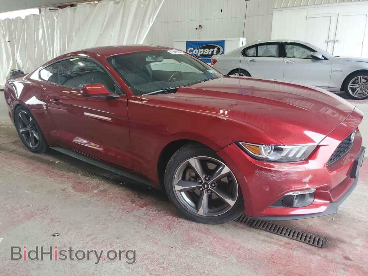 2017 FORD ALL Models - VIN: 1FA6P8TH3H5327017 - Фото 4
