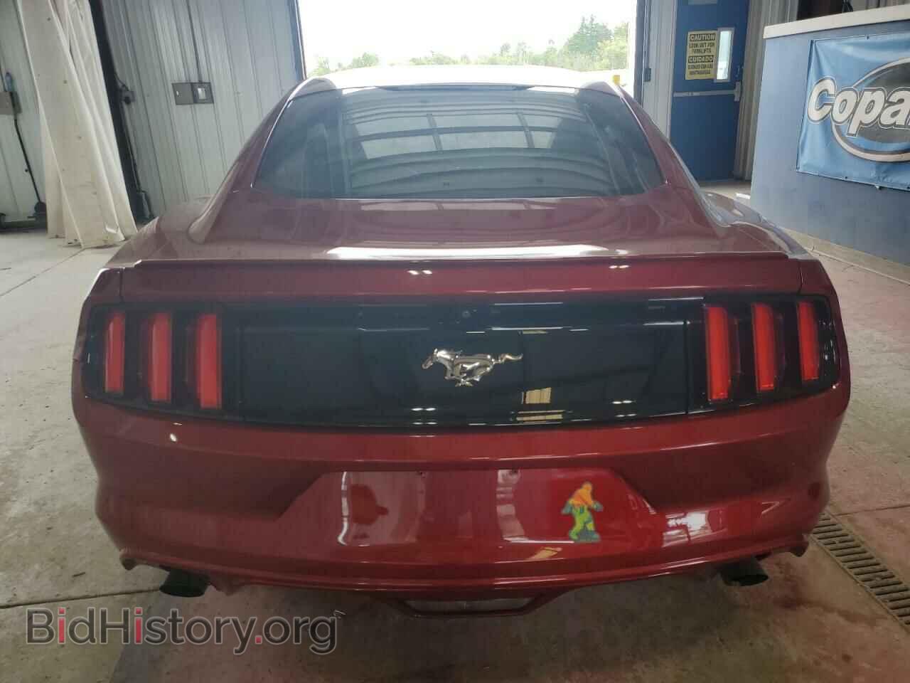 2017 FORD ALL Models - VIN: 1FA6P8TH3H5327017 - Фото 6