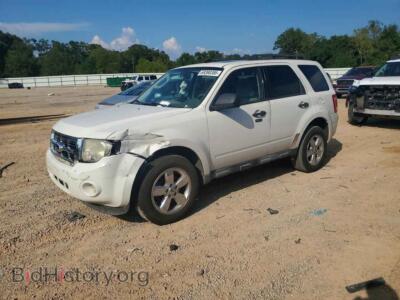 2011 Ford ESCAPE XLT, белый — VIN 1FMCU0D76BKA04016, Copart