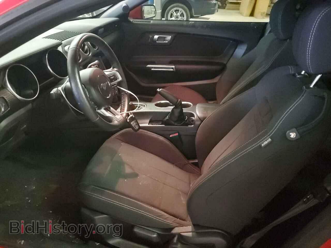 2019 FORD ALL Models - VIN: 1FA6P8THXK5167578 - Фото 7