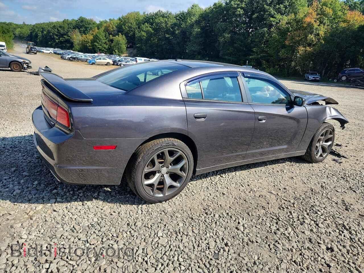 2014 DODGE CHARGER - VIN: 2C3CDXJG1EH159655 - Фото 3