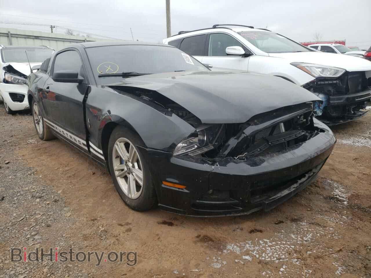 Фотография 1ZVBP8AM4E5207096 - FORD MUSTANG 2014