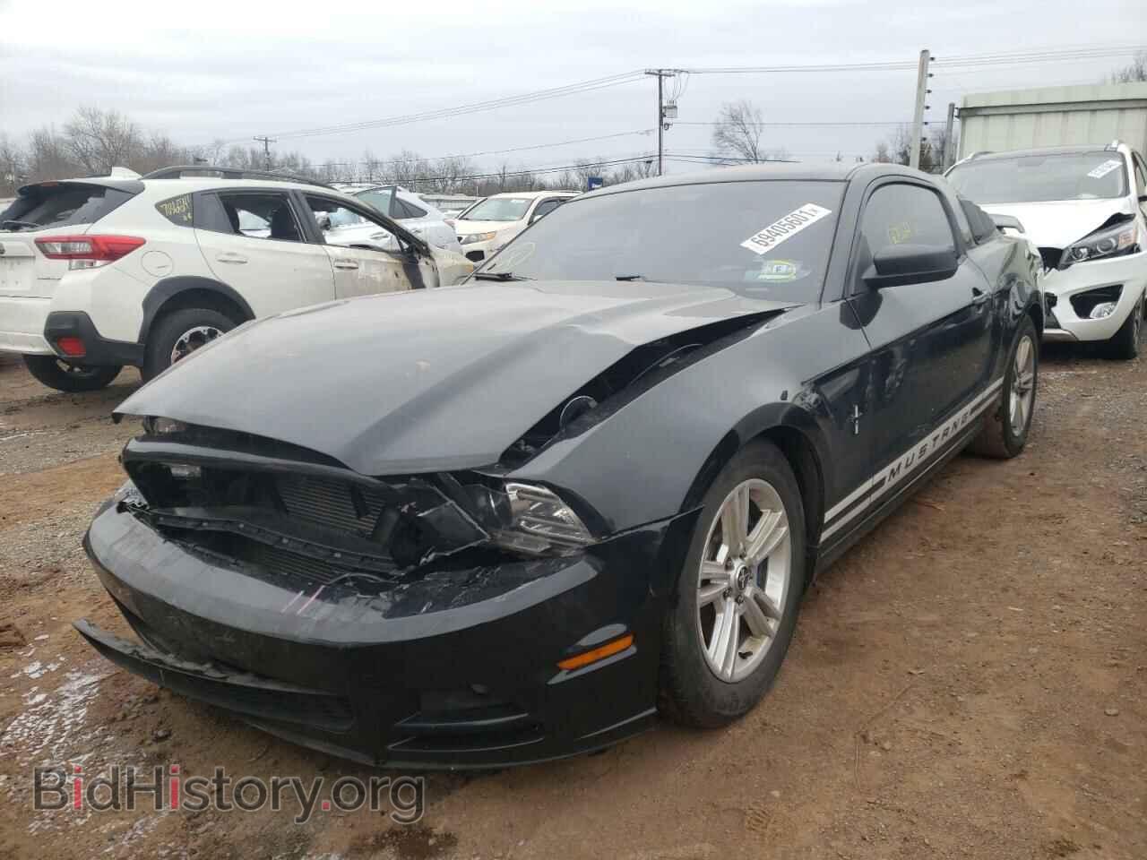 2014 FORD MUSTANG - VIN: 1ZVBP8AM4E5207096 - Фото 2