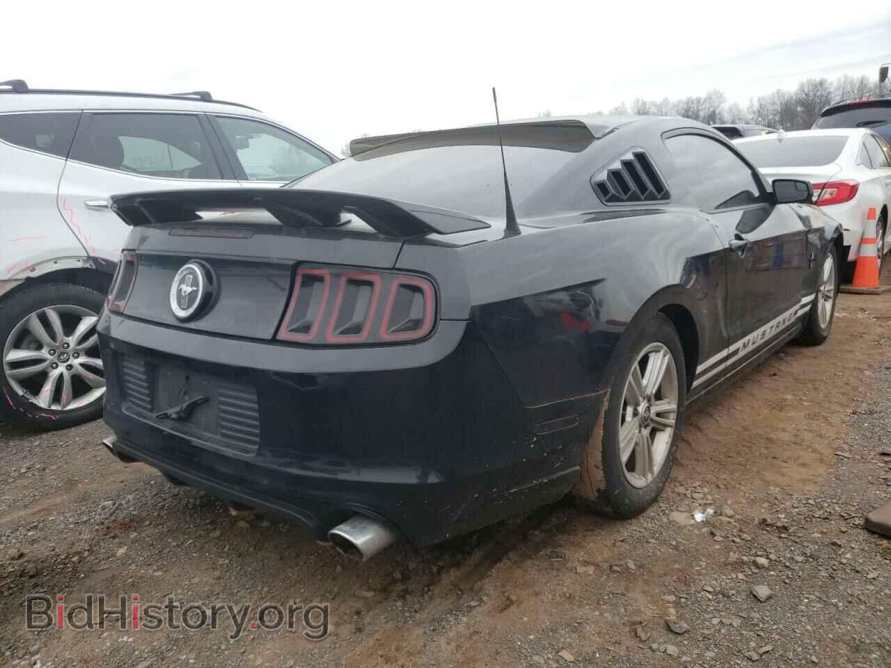 2014 FORD MUSTANG - VIN: 1ZVBP8AM4E5207096 - Фото 4