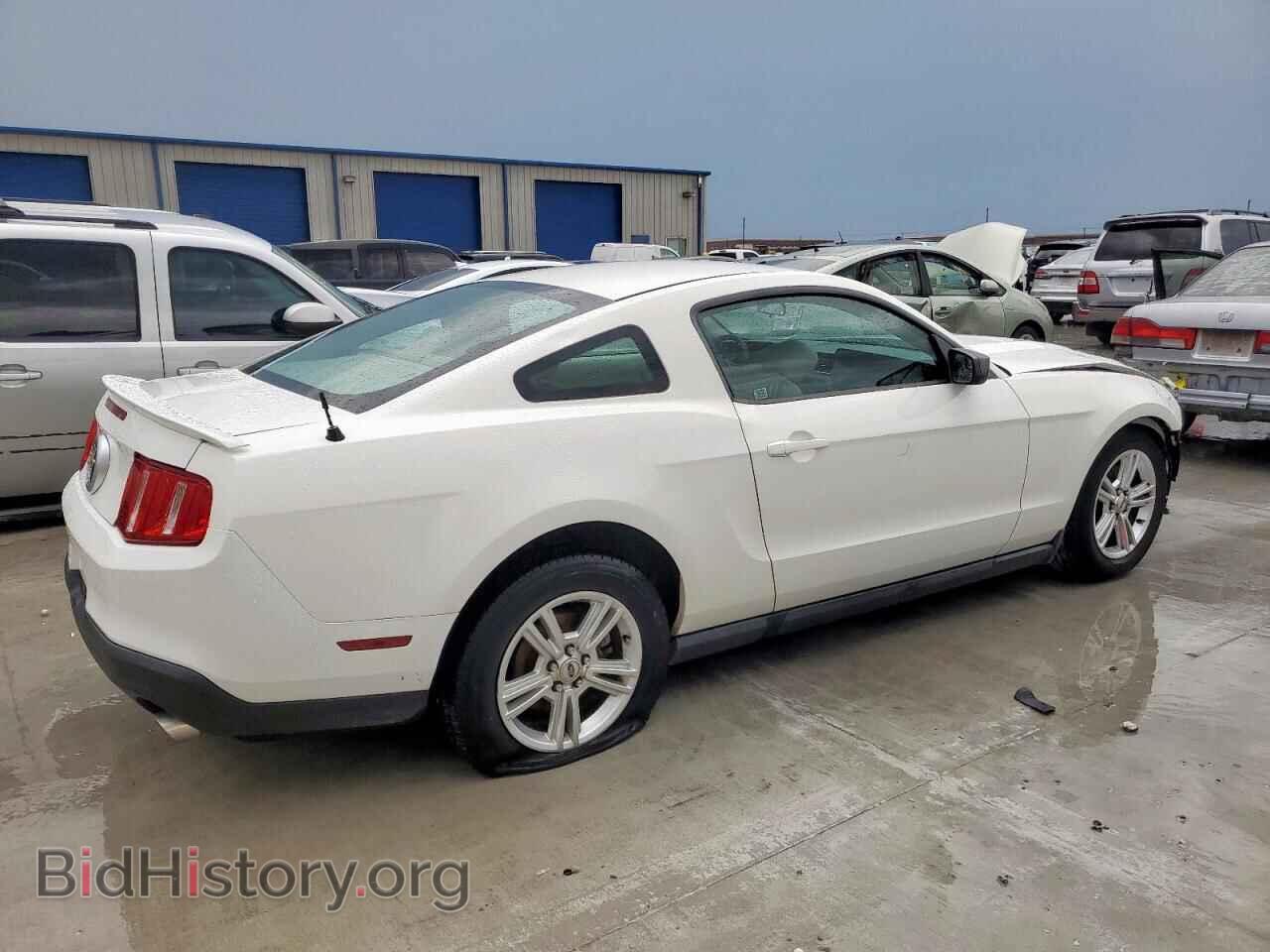 2011 FORD ALL Models - VIN: 1ZVBP8AM2B5158105 - Фото 3