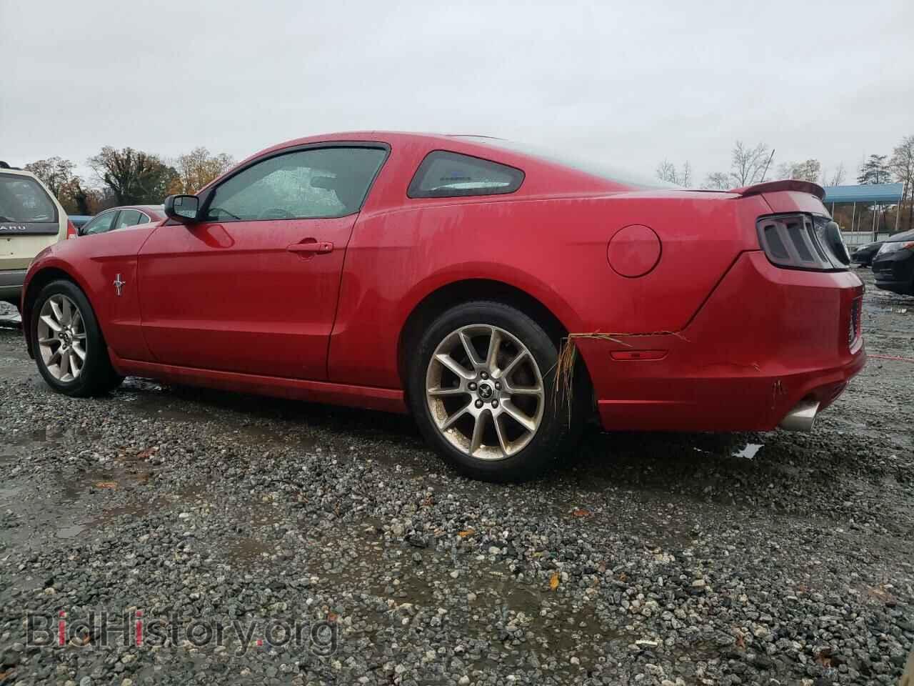 2013 FORD MUSTANG - VIN: 1ZVBP8AM8D5270586 - Фото 2
