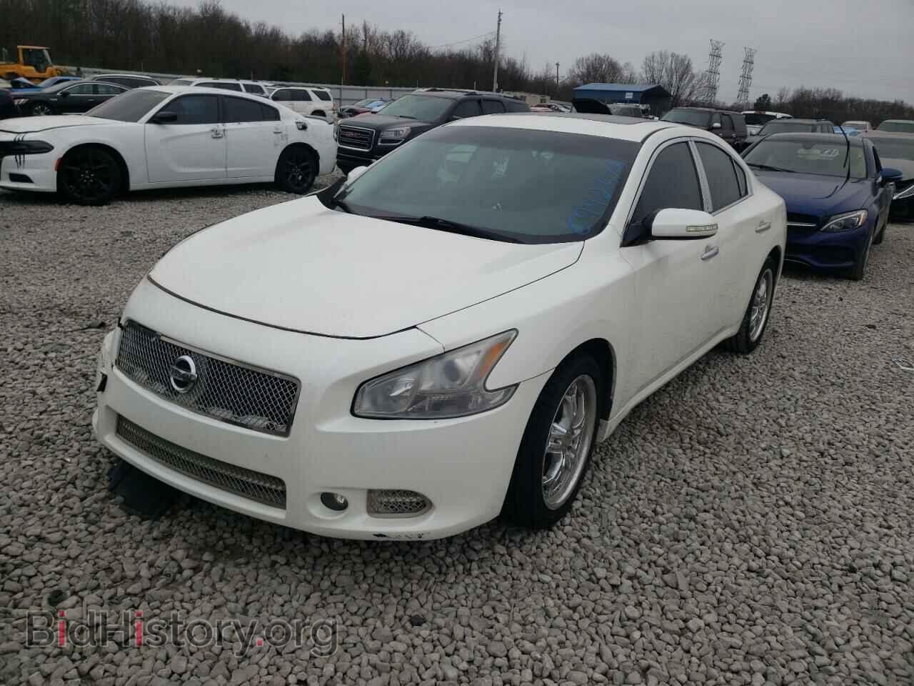 2009 NISSAN MAXIMA - VIN: 1N4AA51E19C819285 - Фото 2