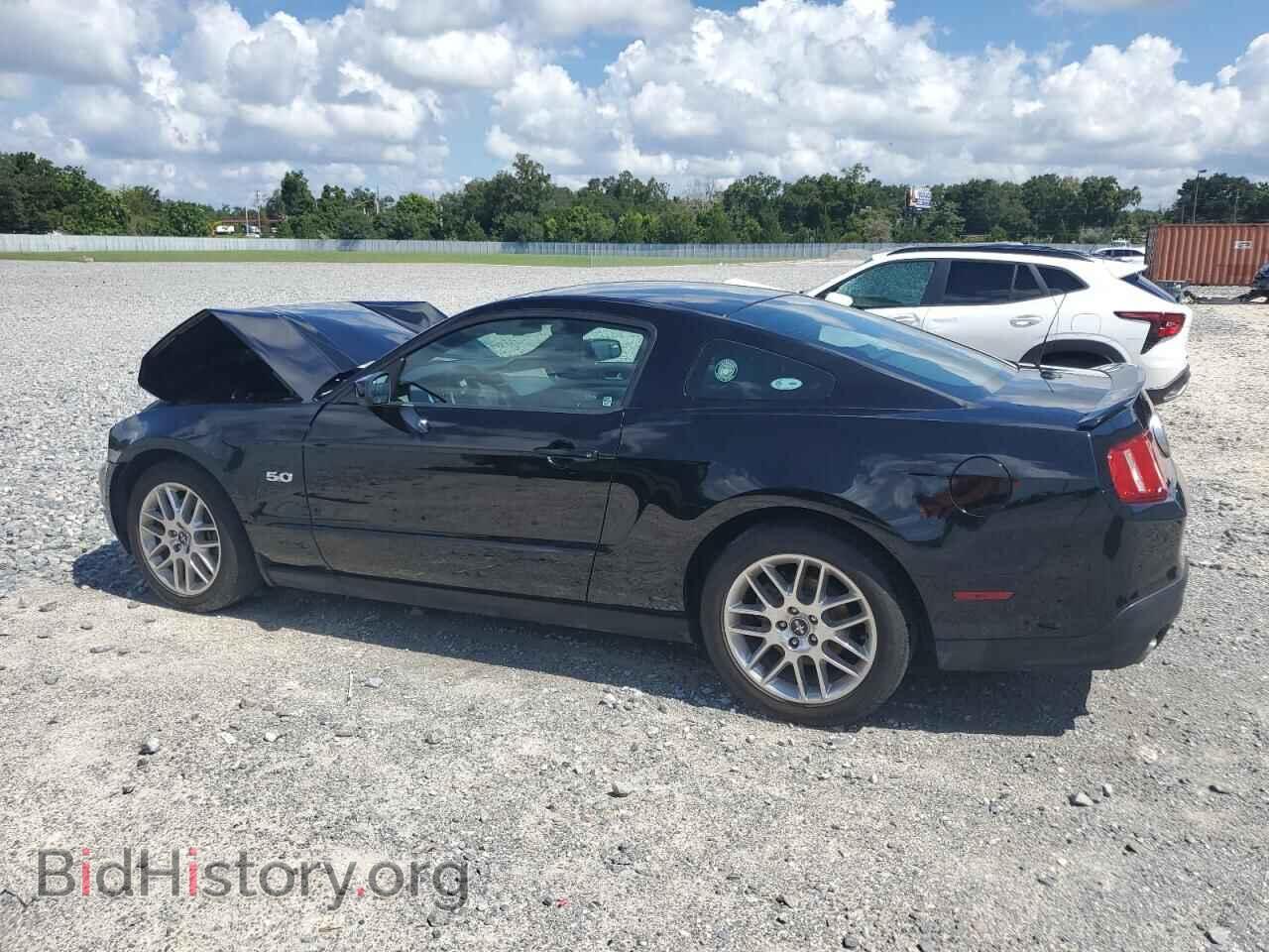 2012 FORD MUSTANG - VIN: 1ZVBP8CF4C5215520 - Фото 2