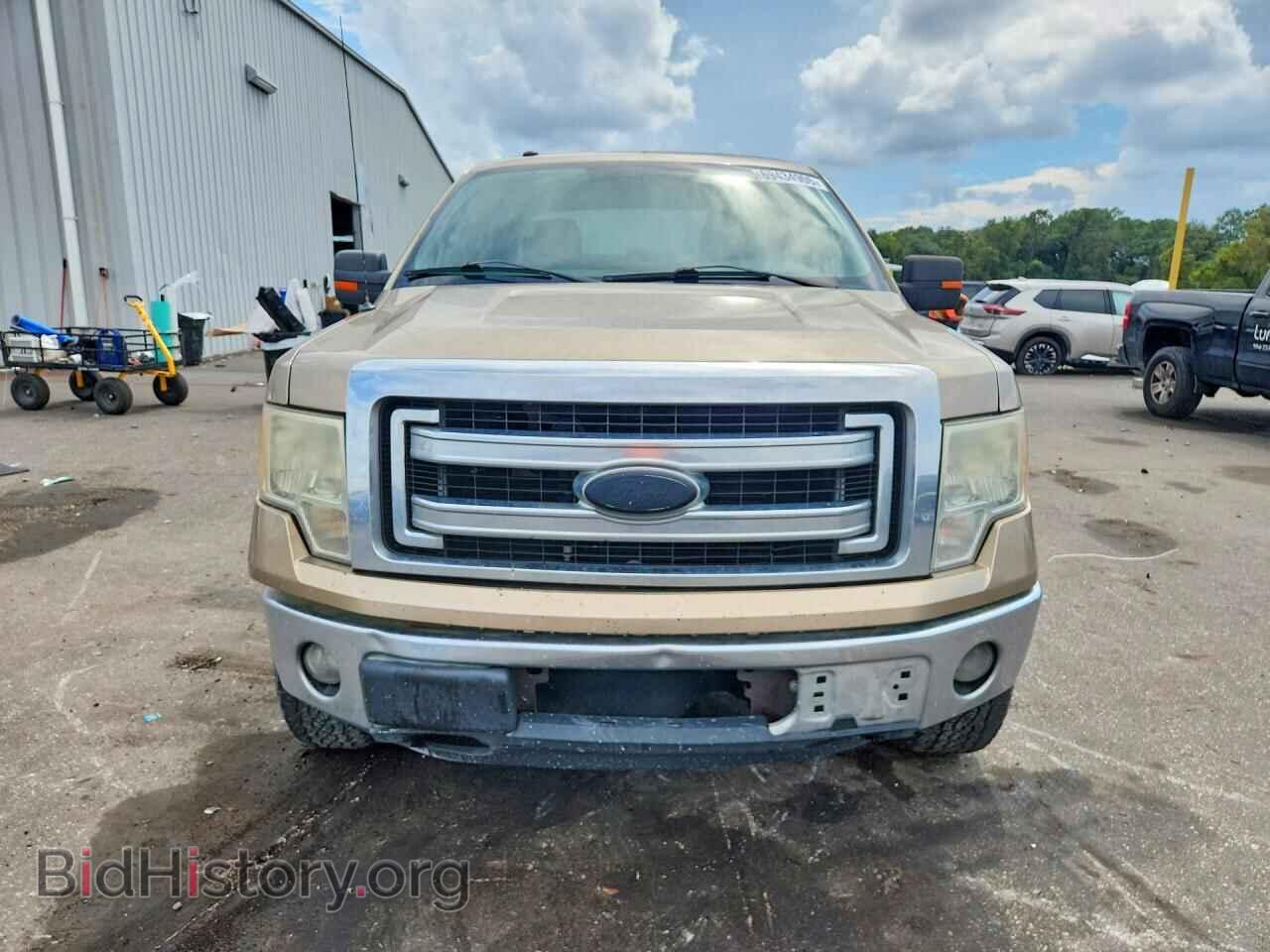 2013 FORD F150 - VIN: 1FTFX1EF7DFA51118 - Фото 5