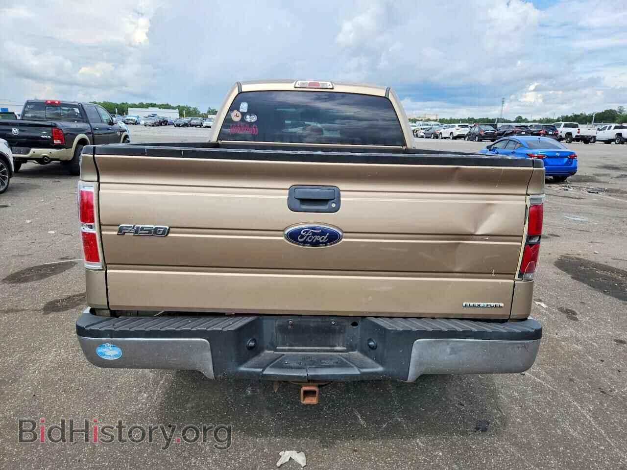 2013 FORD F150 - VIN: 1FTFX1EF7DFA51118 - Фото 6
