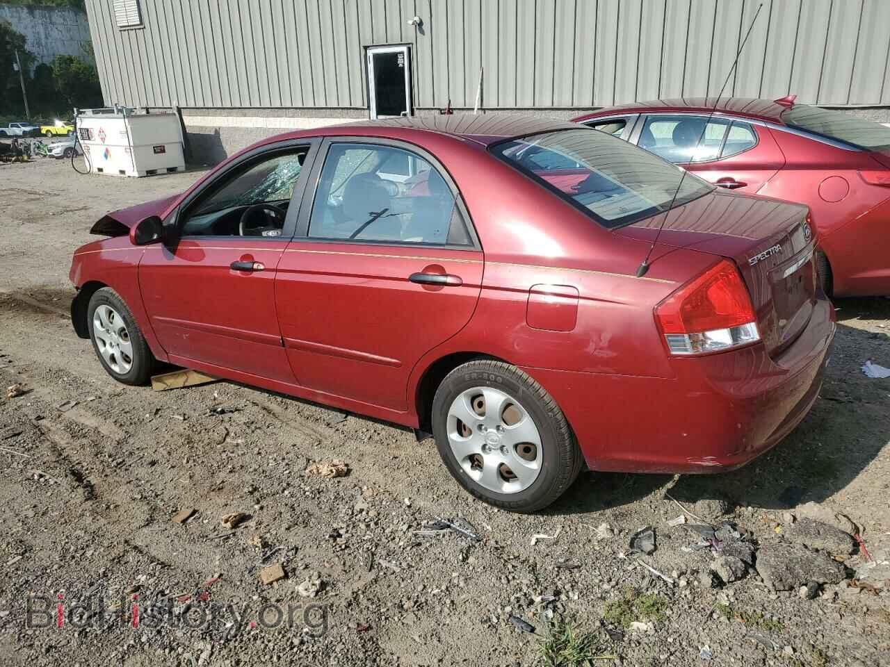 2009 KIA SPECTRA - VIN: KNAFE222895666235 - Фото 2