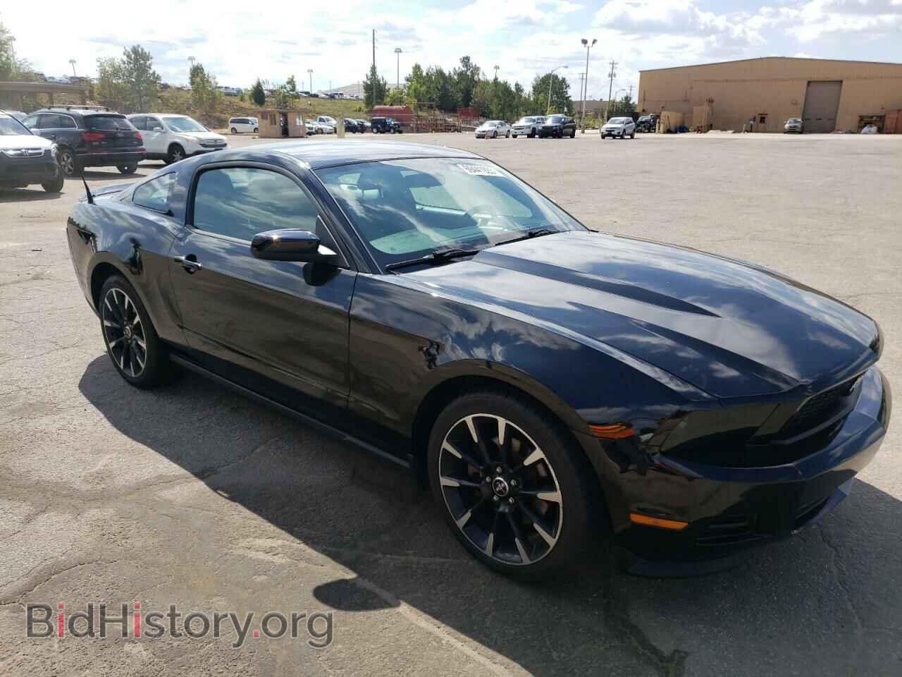2012 FORD ALL Models - VIN: 1ZVBP8AM7C5220471 - Фото 4