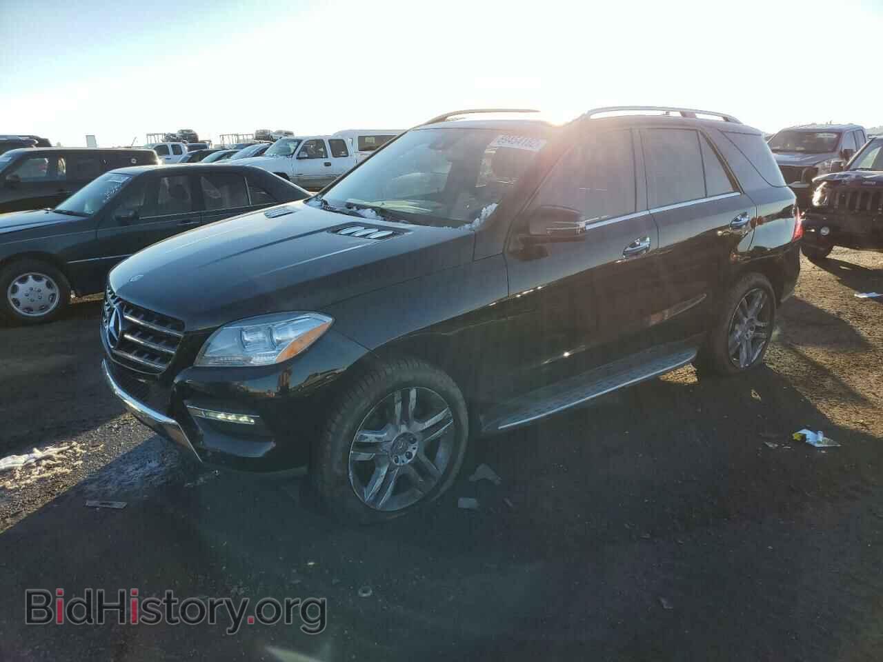 Photo 4JGDA5HB1DA148705 - MERCEDES-BENZ M-CLASS 2013
