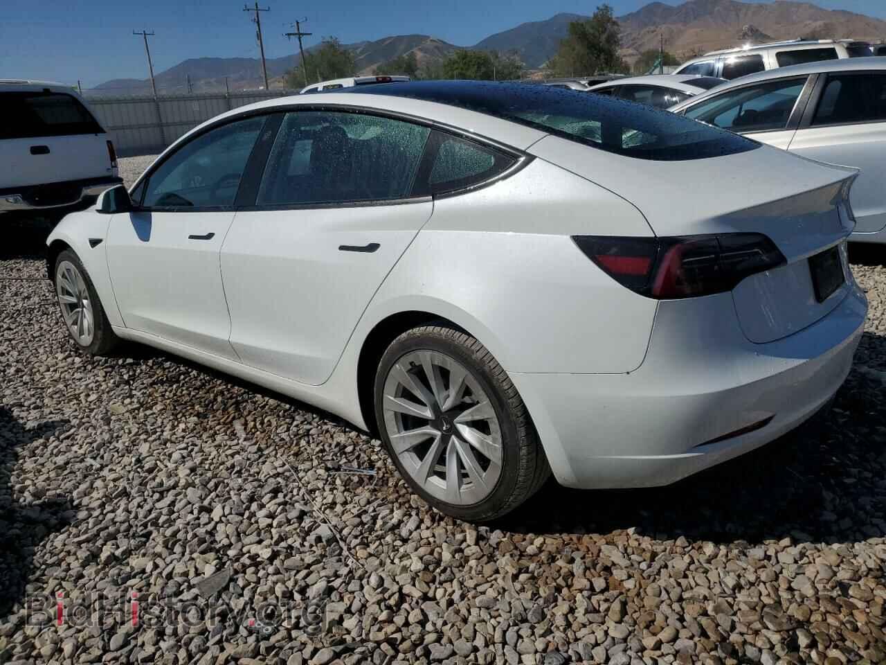 2023 TESLA MODEL 3 - VIN: 5YJ3E1EA2PF460228 - Photo 2