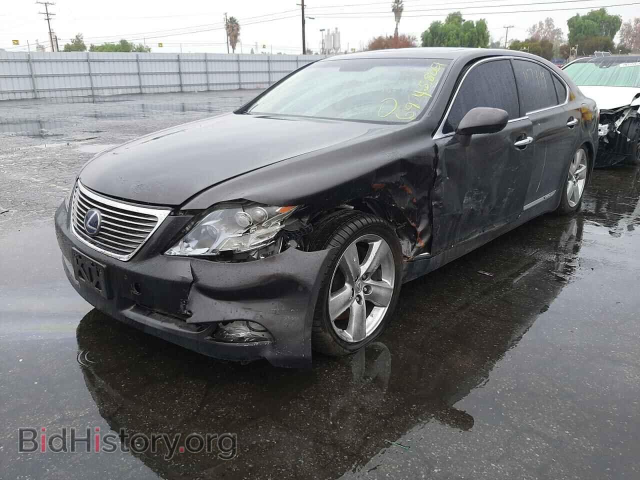 2009 LEXUS LS600 - VIN: JTHDU46F595009882 - Photo 2