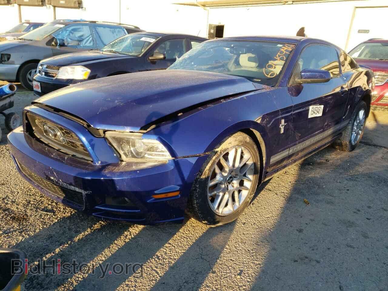 2013 FORD MUSTANG - VIN: 1ZVBP8AM8D5260298 - Фото 2