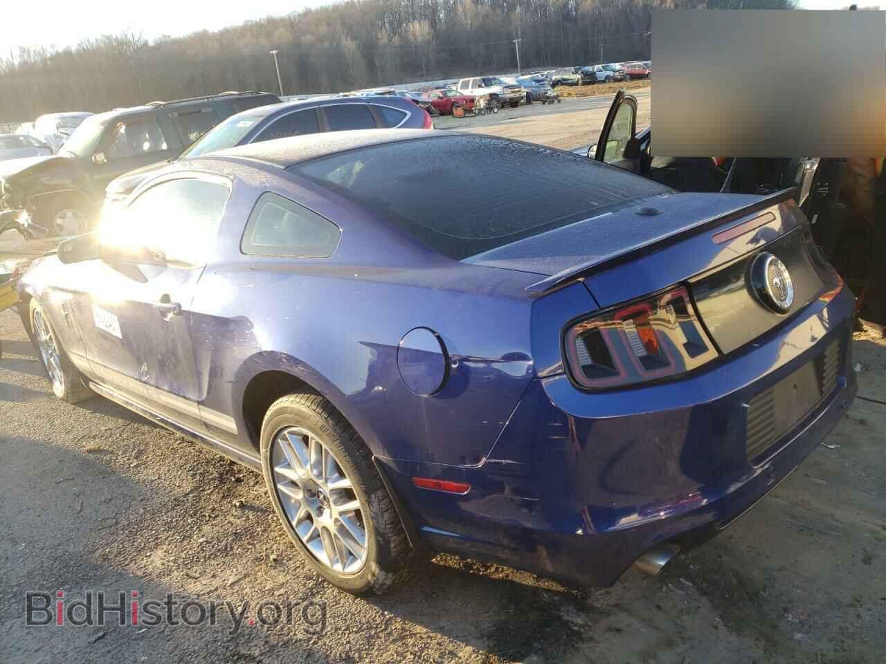 2013 FORD MUSTANG - VIN: 1ZVBP8AM8D5260298 - Фото 3