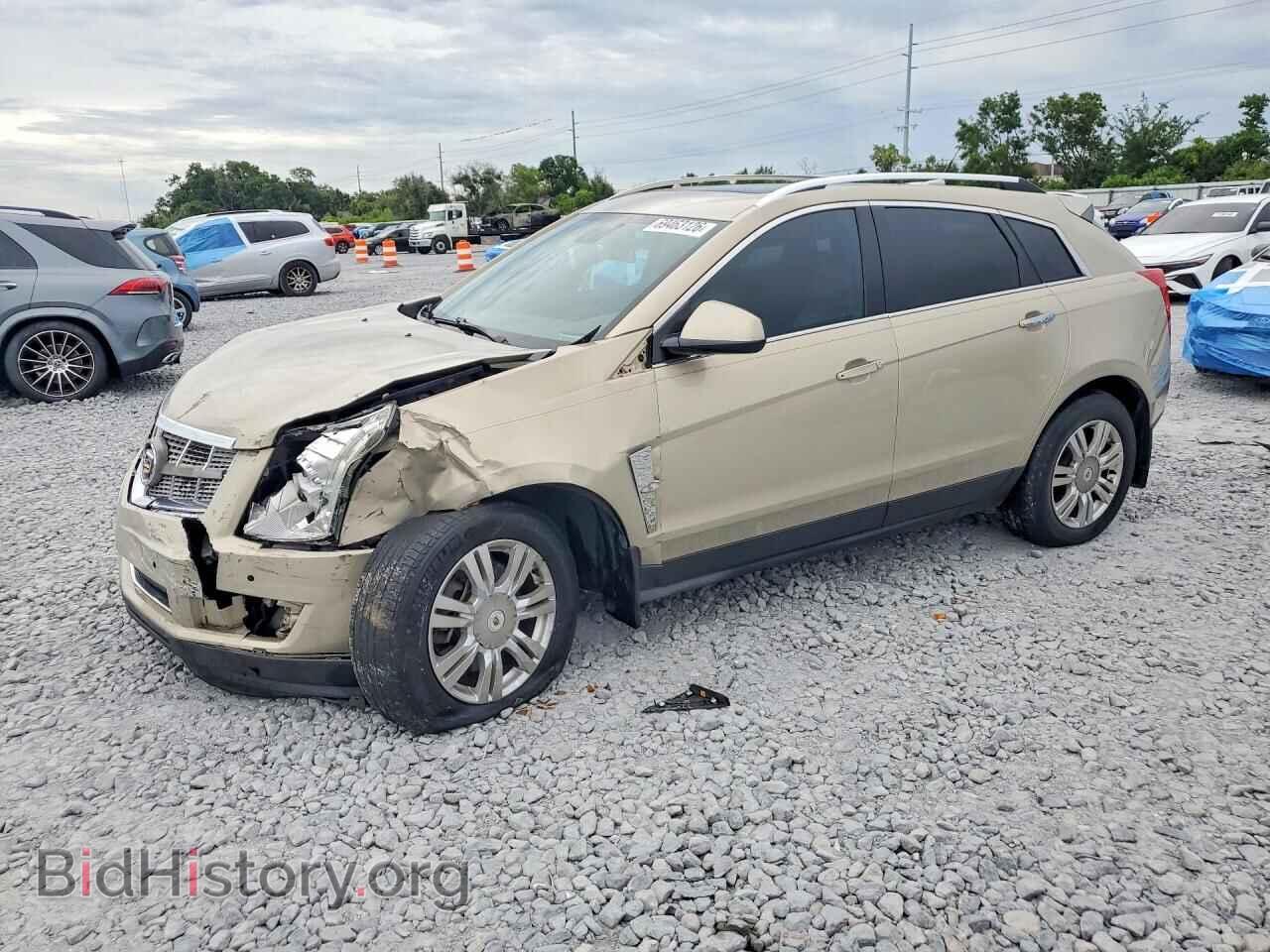 Фотография 3GYFNAEY6AS652450 - CADILLAC SRX 2010