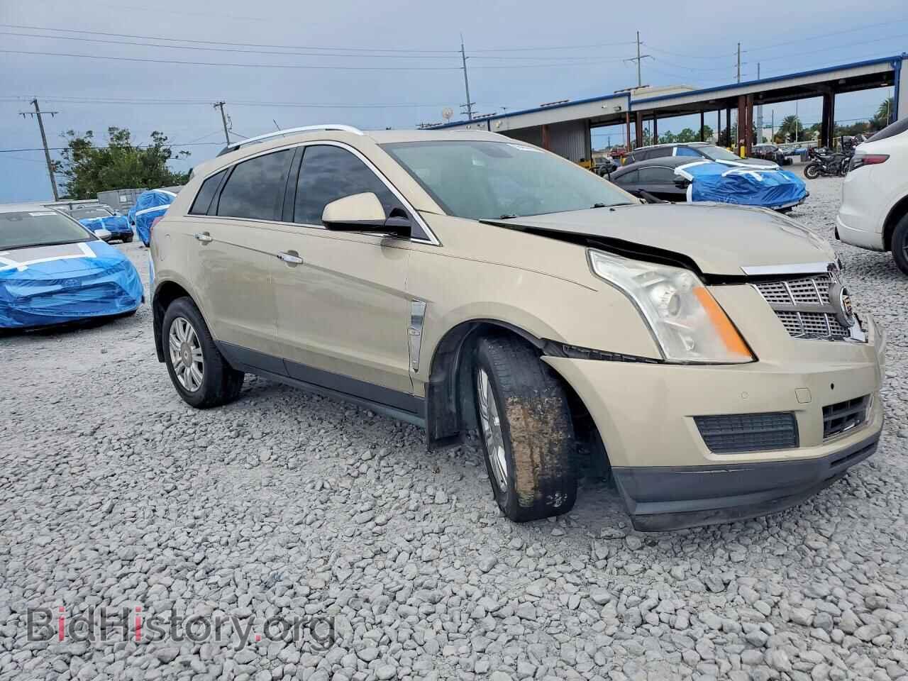 2010 CADILLAC SRX - VIN: 3GYFNAEY6AS652450 - Фото 4