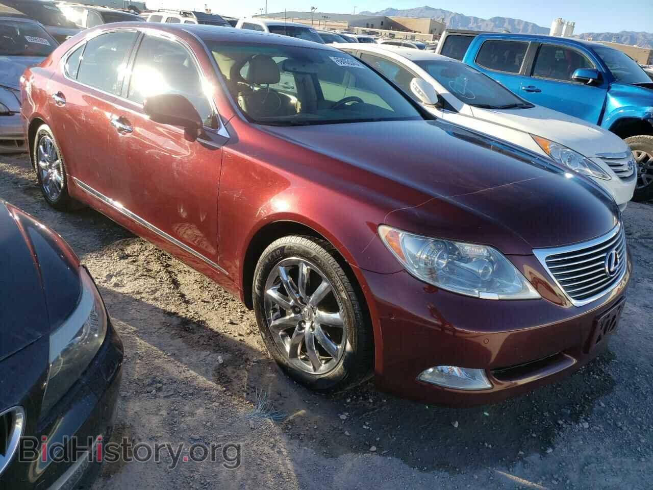 2009 LEXUS LS460 - VIN: JTHBL46FX95089030 - Photo 4