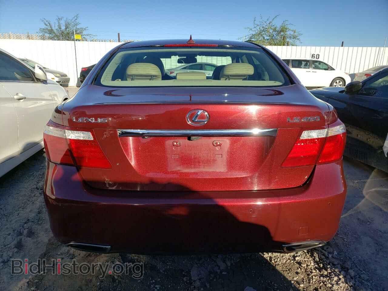 2009 LEXUS LS460 - VIN: JTHBL46FX95089030 - Photo 6