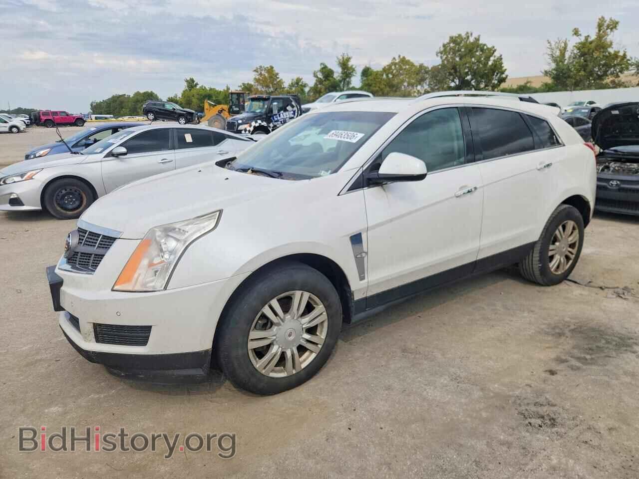 Фотография 3GYFNAEY2BS520366 - CADILLAC SRX 2011