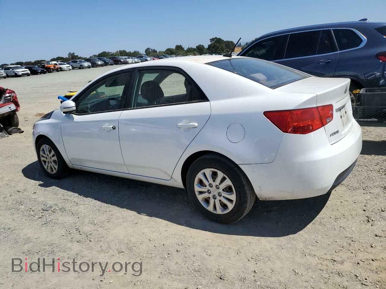 2011 KIA FORTE - VIN: KNAFU4A23B5384669 - Фото 2