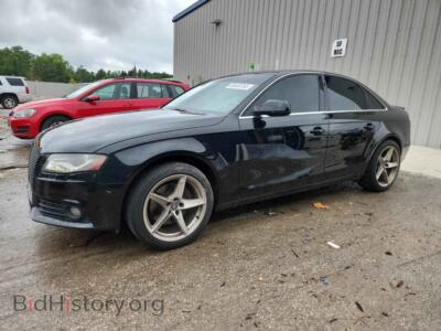 2010 Audi A4 Premium Plus, black — VIN WAUFFAFLXAN036019, Copart