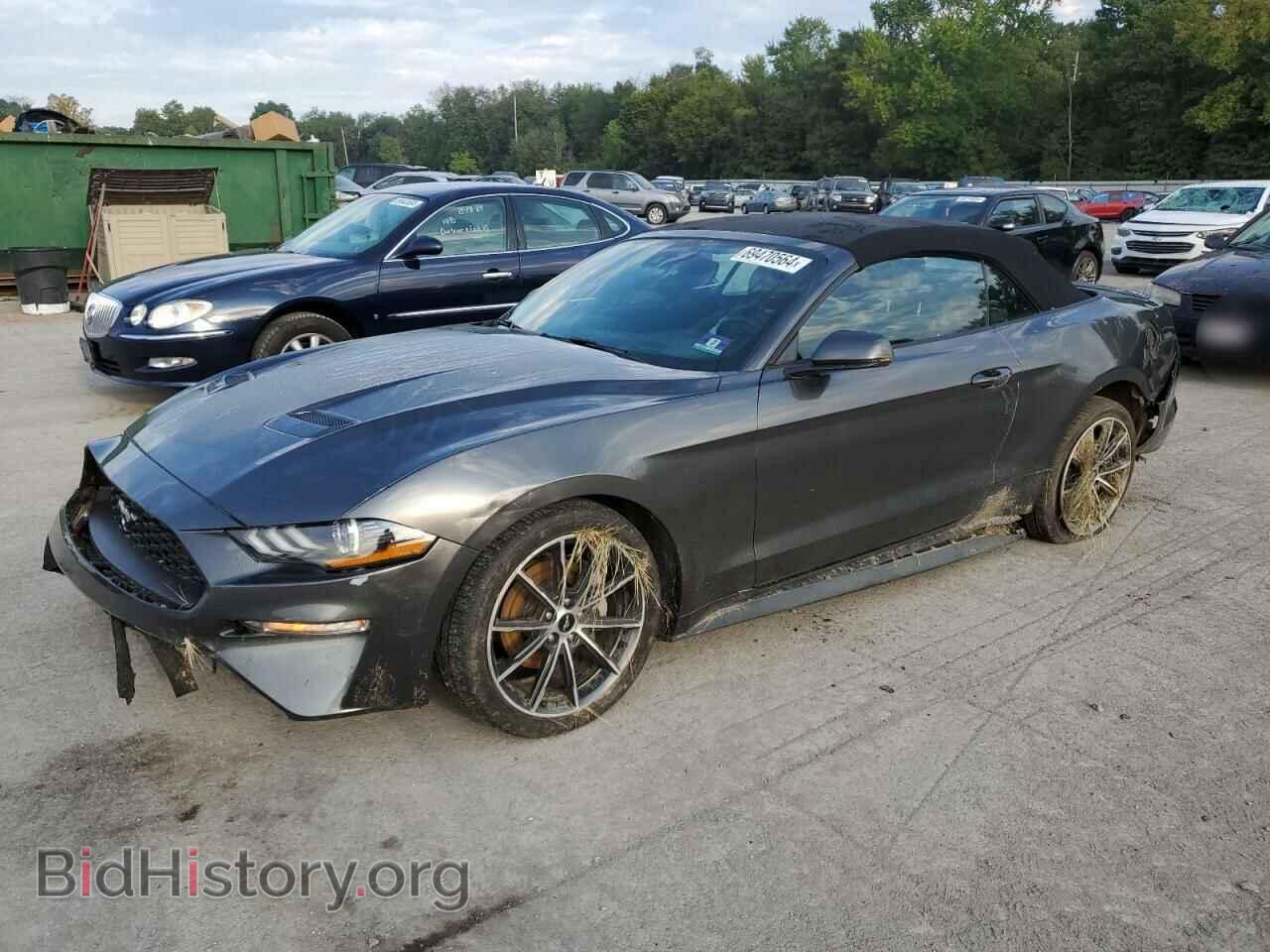 Фотография 1FATP8UH3K5151305 - FORD ALL Models 2019