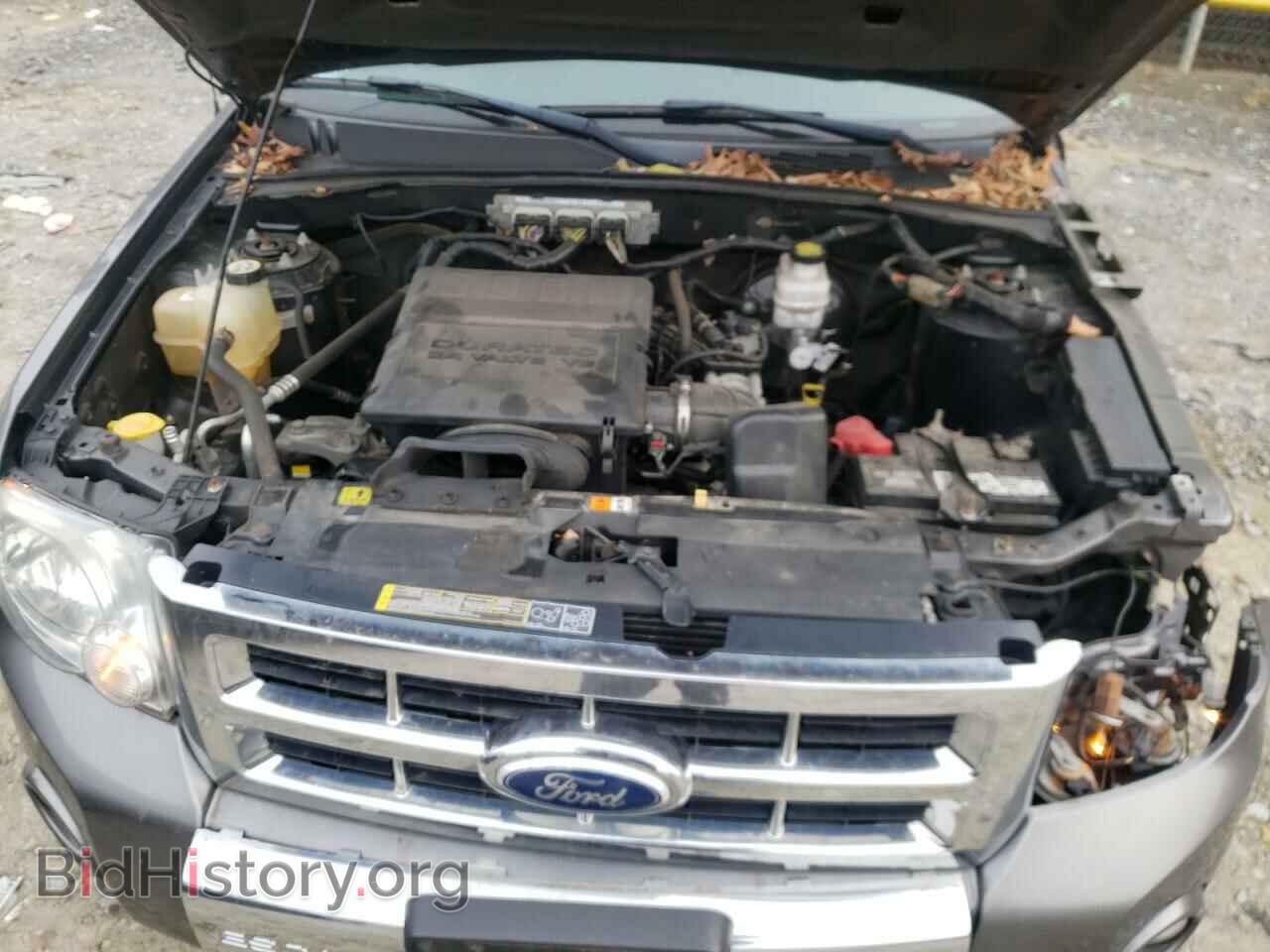 2011 FORD ESCAPE - VIN: 1FMCU9EG1BKA61176 - Фото 7