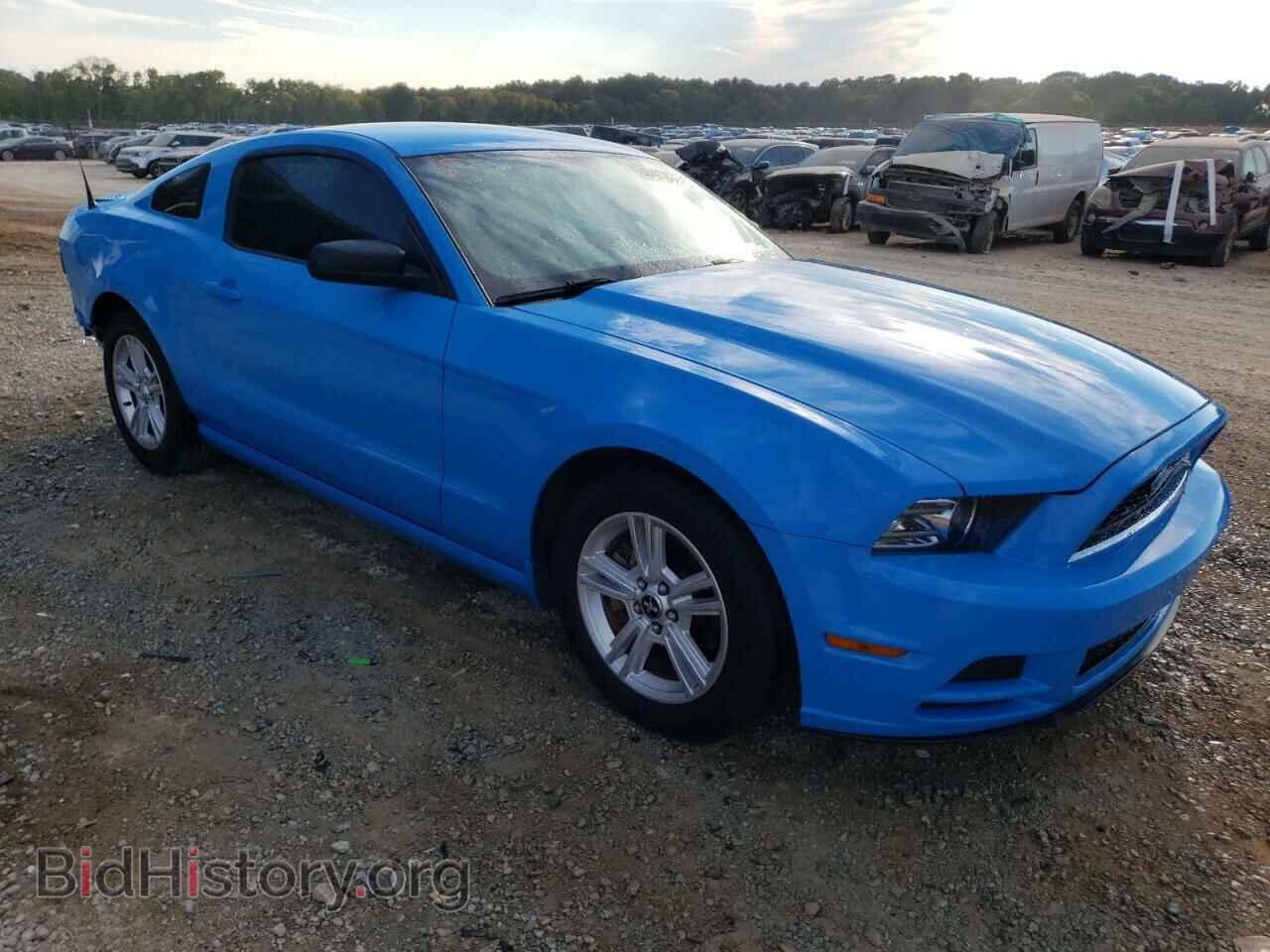 2013 FORD ALL Models - VIN: 1ZVBP8AM8D5277103 - Фото 4