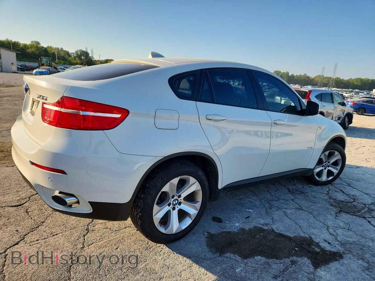 2011 BMW X6 - VIN: 5UXFG2C52BLX08663 - Photo 3