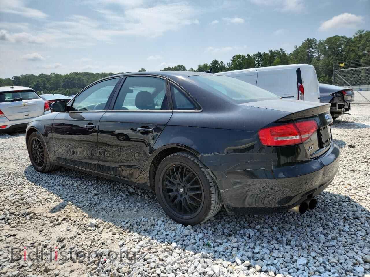 2013 AUDI A4 - VIN: WAUBFAFL7DN031976 - Фото 2