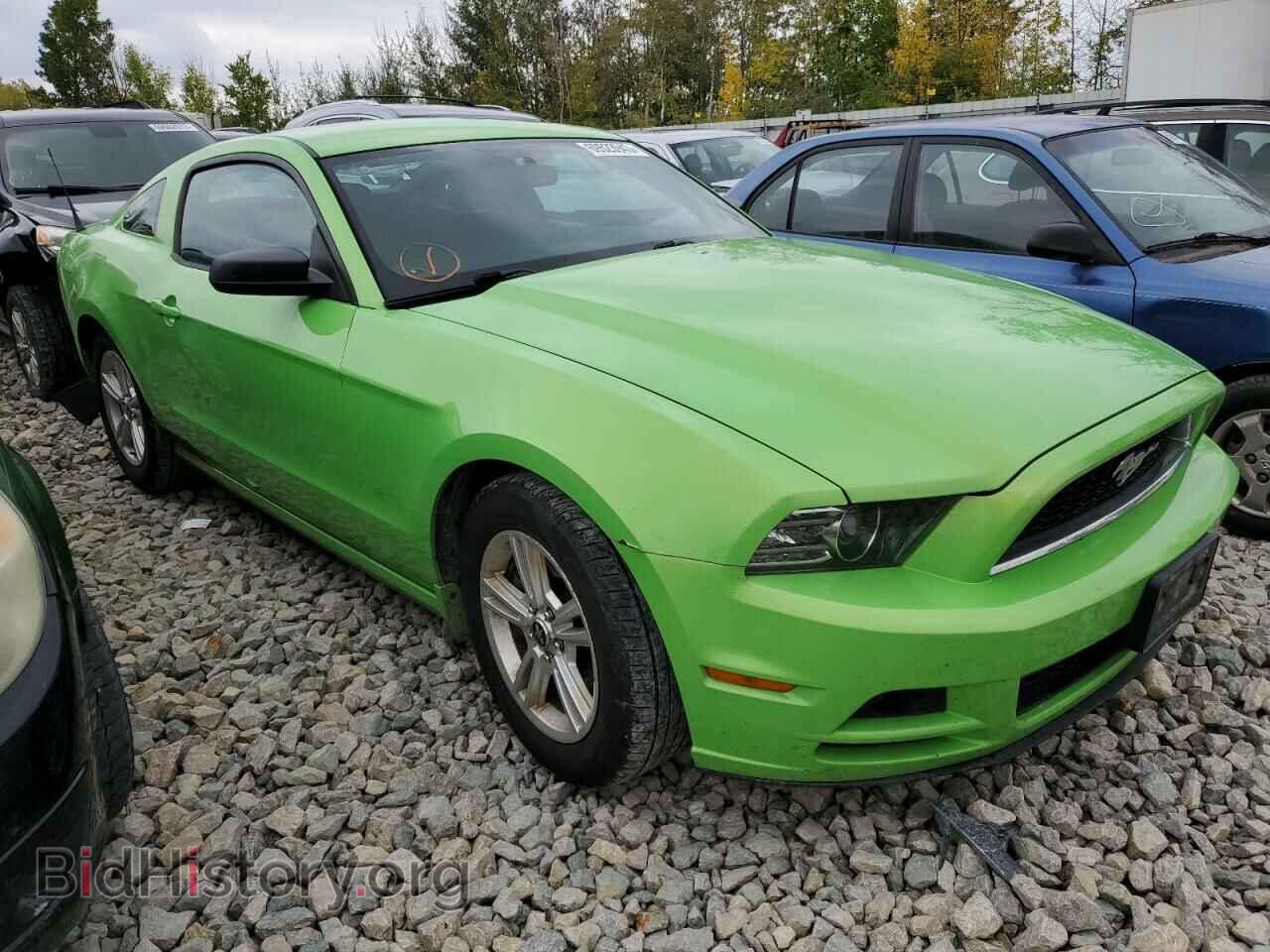 2013 FORD ALL Models - VIN: 1ZVBP8AM0D5258710 - Фото 4