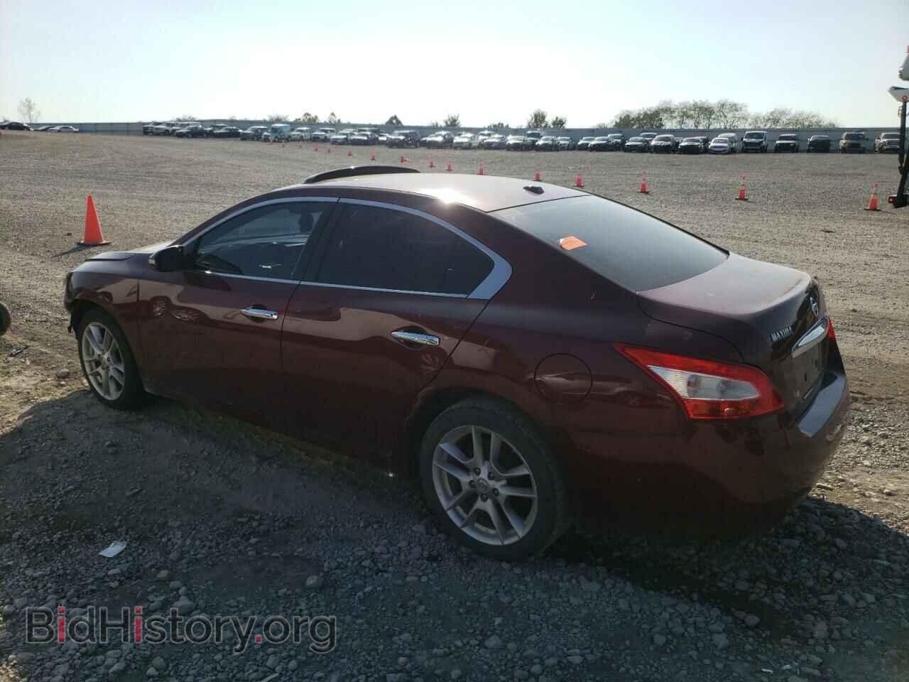 2009 NISSAN MAXIMA - VIN: 1N4AA51E79C820912 - Photo 2