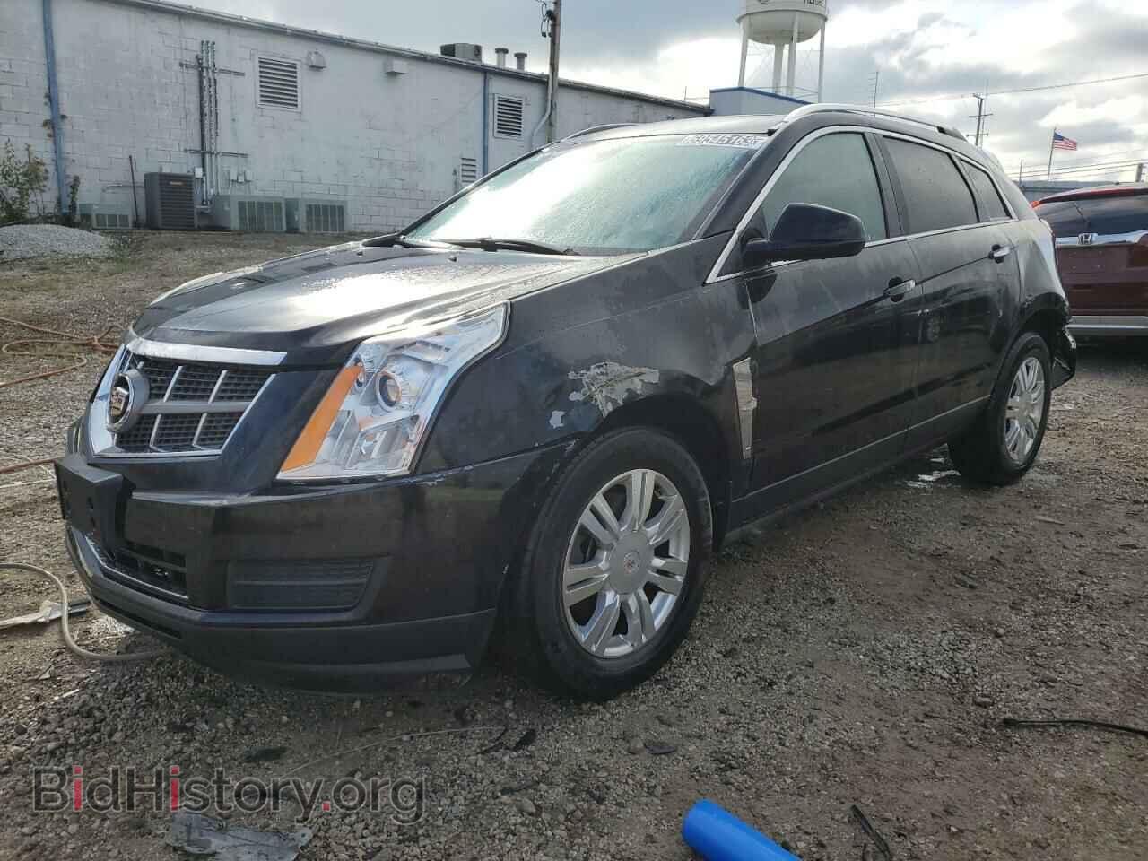 Фотография 3GYFNAEY1BS614884 - CADILLAC SRX 2011