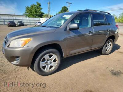 2011 Toyota RAV4, brown — VIN 2T3BF4DV4BW112271, Copart