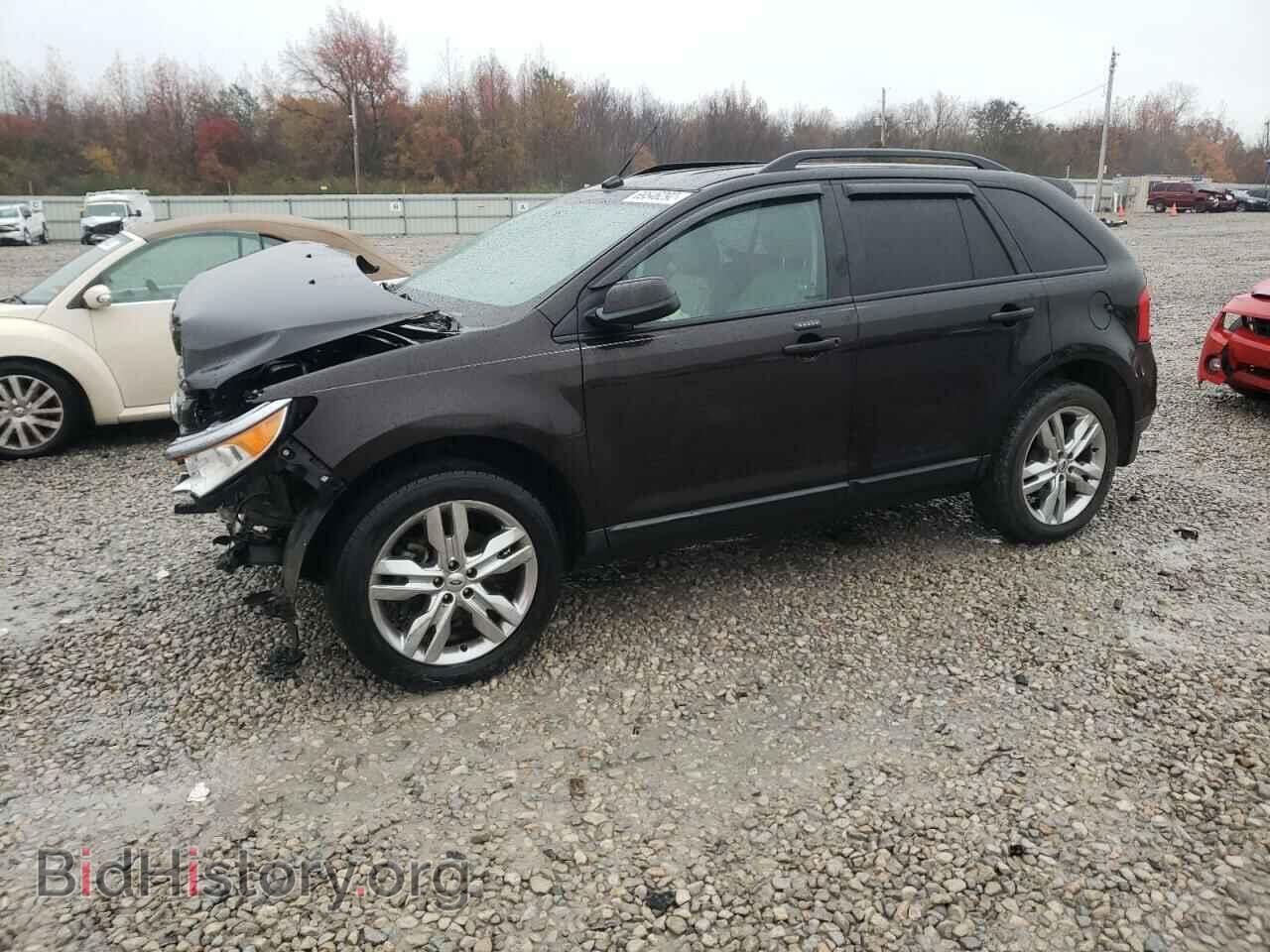 Фотография 2FMDK3JC4DBA62801 - FORD EDGE 2013