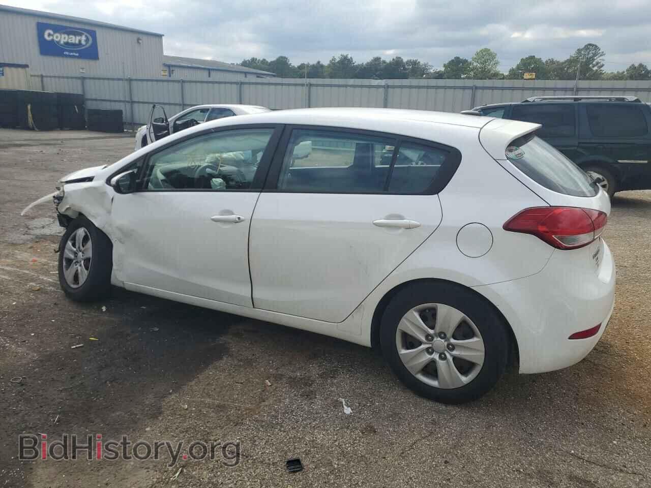 2016 KIA FORTE - VIN: KNAFK5A80G5526354 - Фото 2