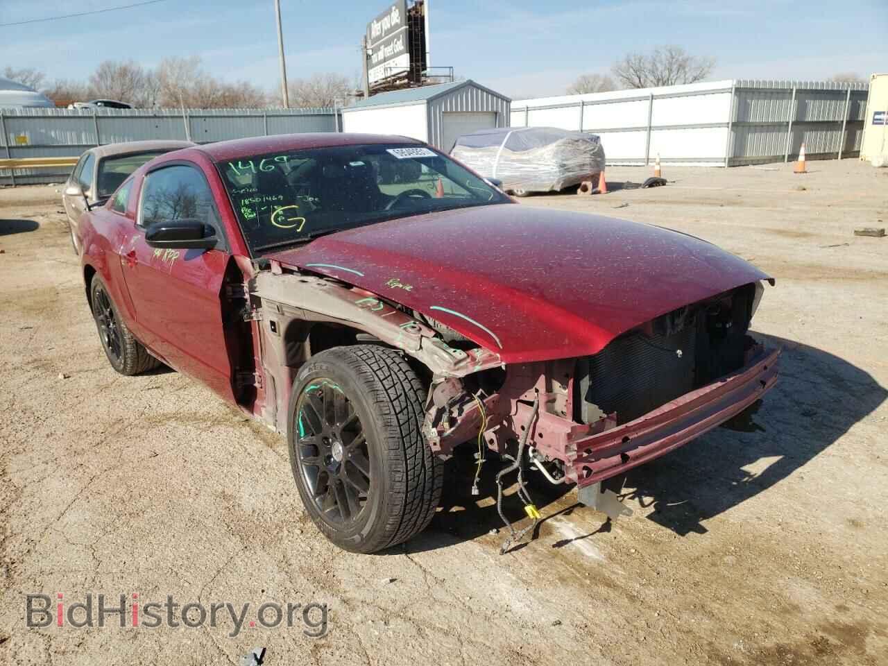 Photo 1ZVBP8AM4E5321079 - FORD MUSTANG 2014