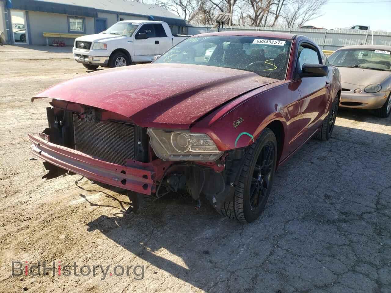 2014 FORD MUSTANG - VIN: 1ZVBP8AM4E5321079 - Фото 2