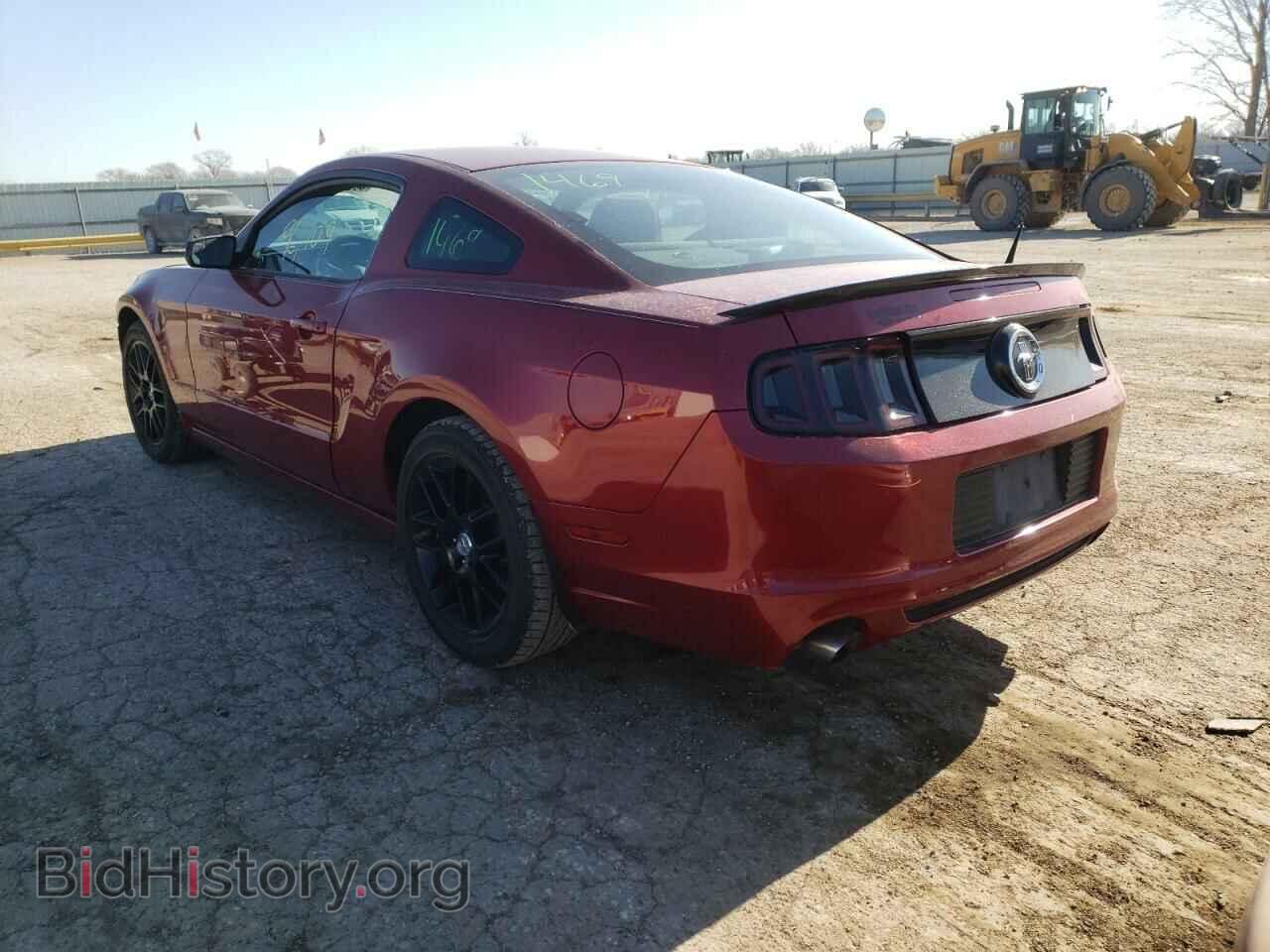 2014 FORD MUSTANG - VIN: 1ZVBP8AM4E5321079 - Фото 3