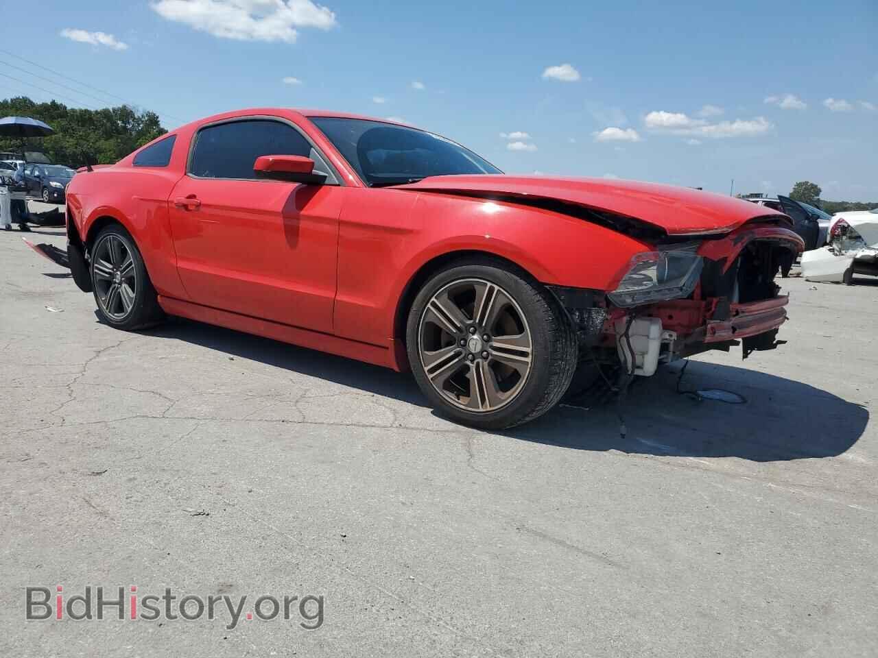 2013 FORD ALL Models - VIN: 1ZVBP8AM9D5242909 - Фото 4