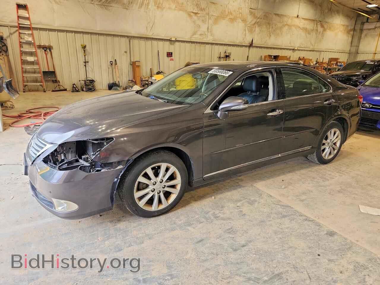 Фотография JTHBK1EG1A2364219 - LEXUS ES350 2010