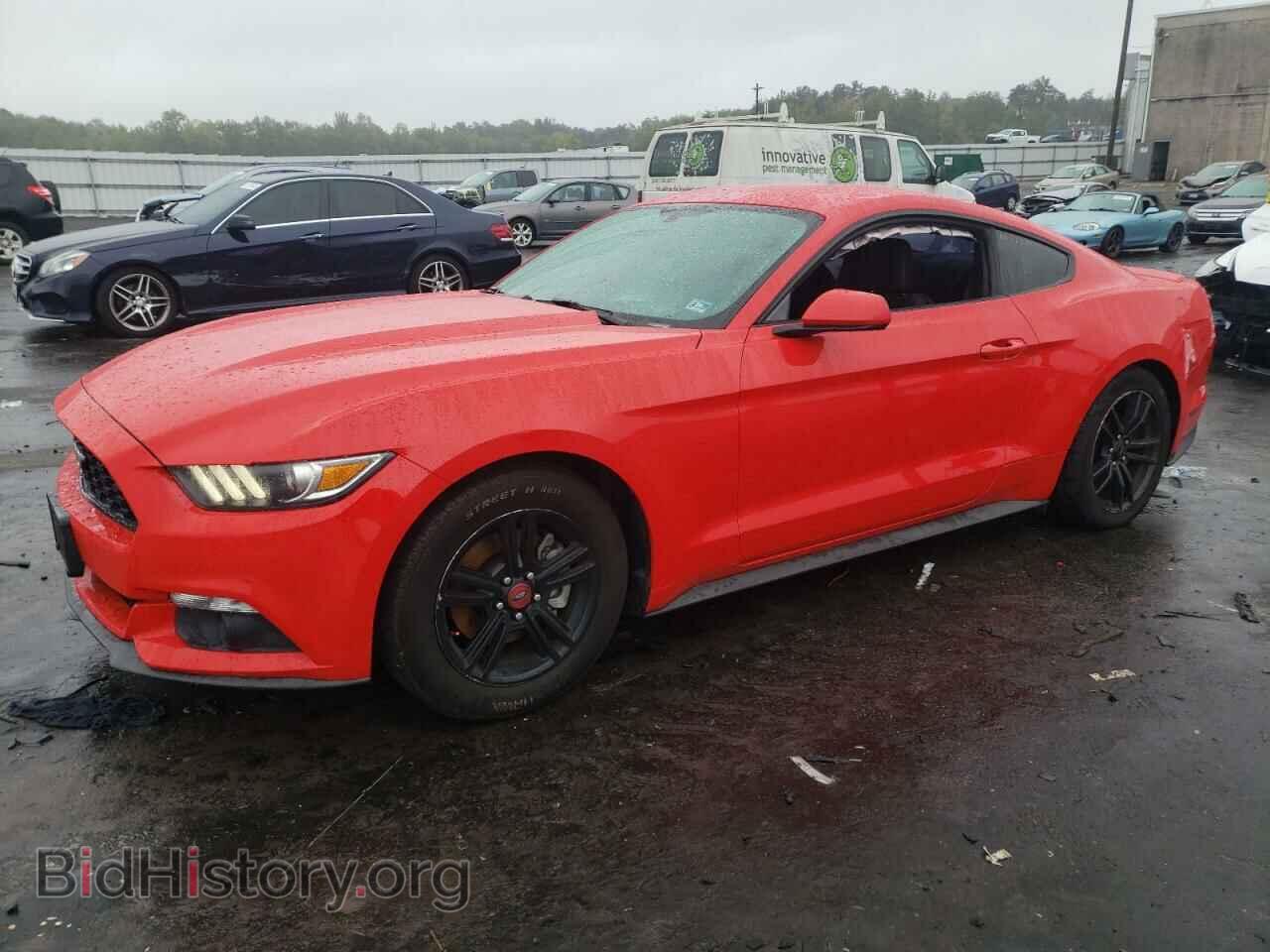 Photo 1FA6P8TH8G5208104 - FORD ALL Models 2016