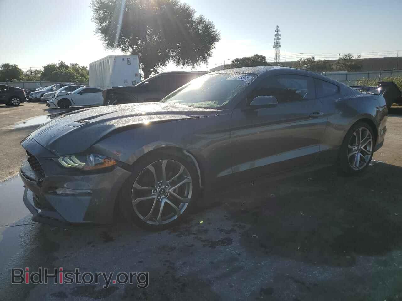 Photo 1FA6P8TH8M5155125 - FORD ALL Models 2021