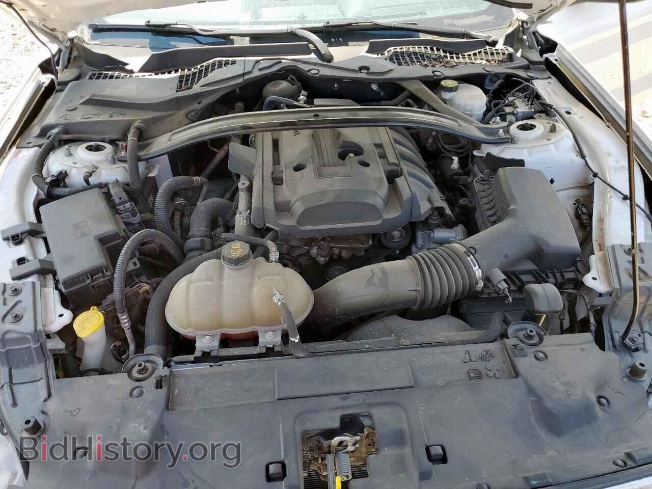 2019 FORD ALL Models - VIN: 1FA6P8TH9K5123202 - Photo 11